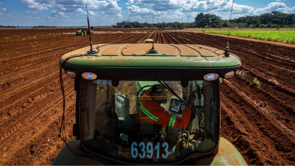 農作物做成的燃料